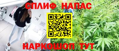 сатива Пенза