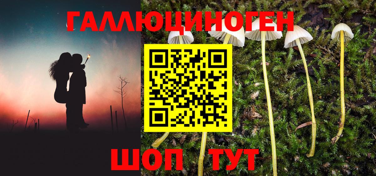 Советская Гавань  Псилоцибиновые грибы Psilocybe  Галлюциногенные грибы Psilocybe  Вход с VPN 