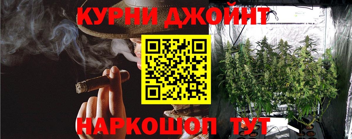 Каннабис White Widow Советская Гавань